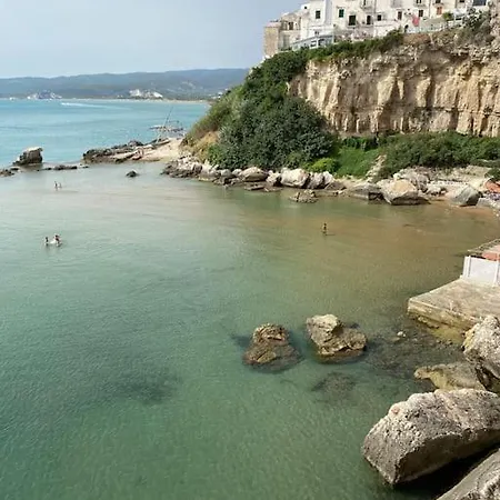 Apartment Sea View Flat With Private Terrace, And Bbq In The Old Town Vieste